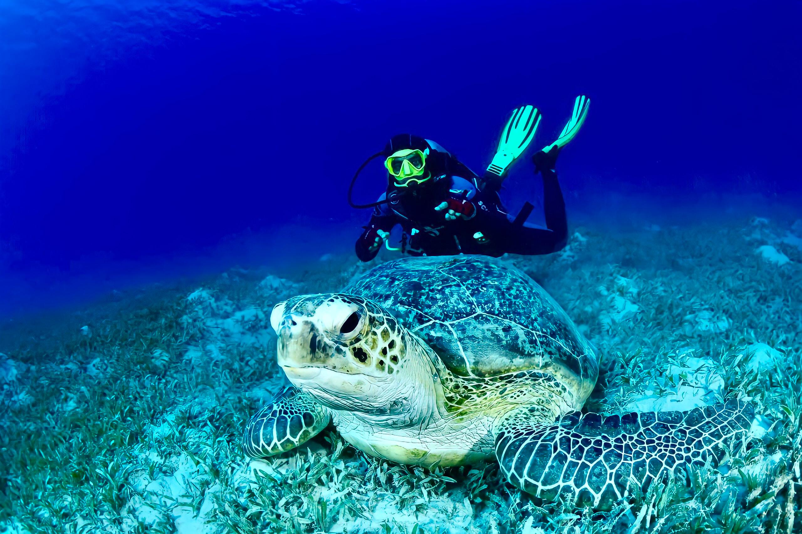 Abu Dabab Marsa Alam